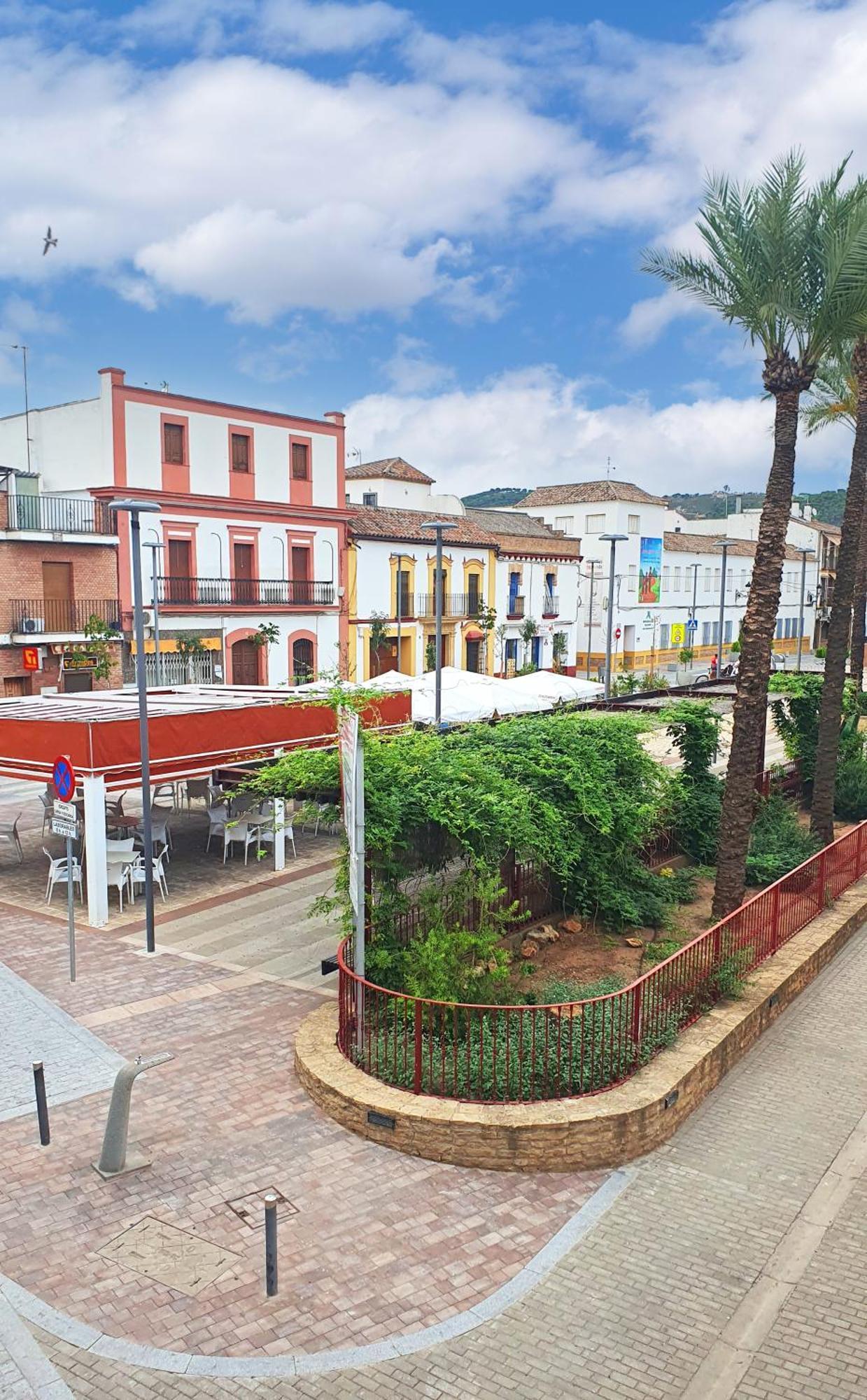 Acogedor Piso En Villafranca de Córdoba Dış mekan fotoğraf